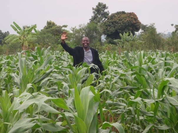 A man waving in a tall field of corn at Yogo
