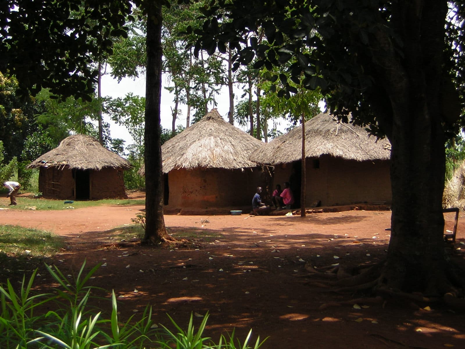 A homestead of thatched-roof huts in Yogo